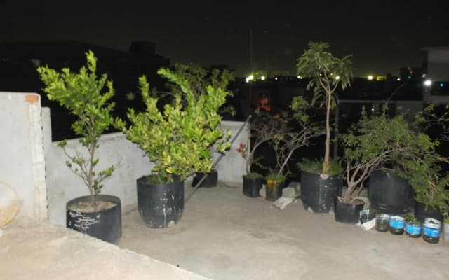City Hotel - photo 4