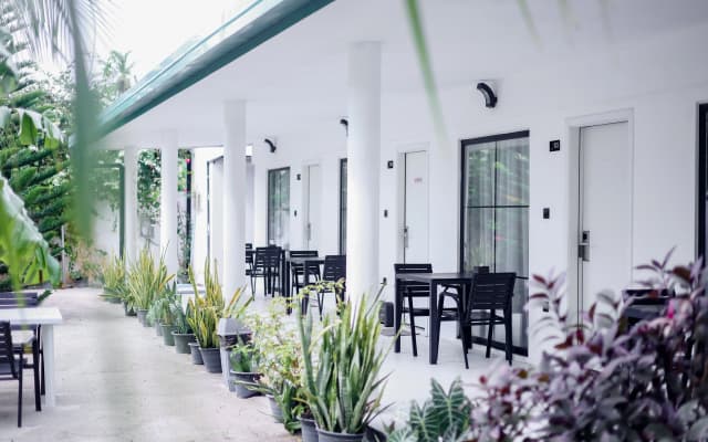 Belvedere Thoddoo Guest House - photo 3