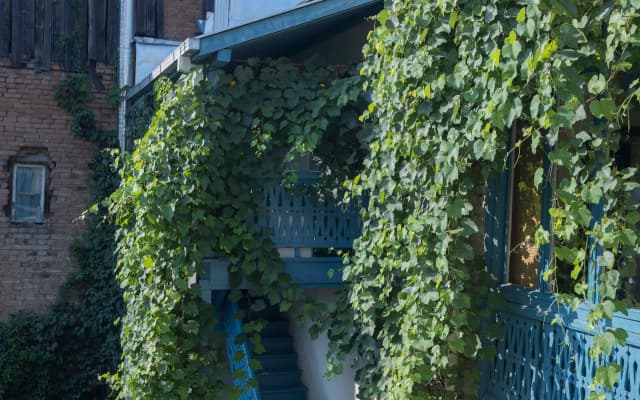 Communa Good Vibes Hostel - photo 4