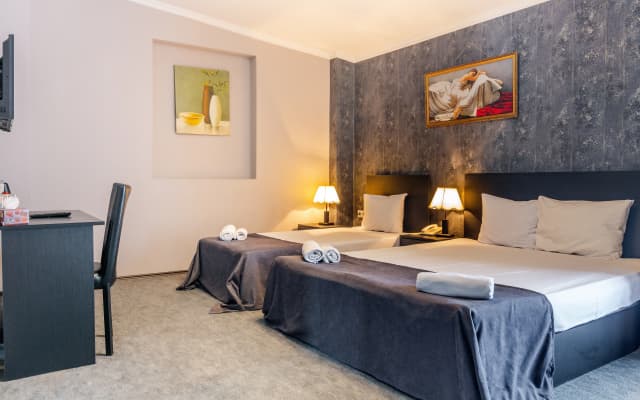 Merlin Hotel - photo 2