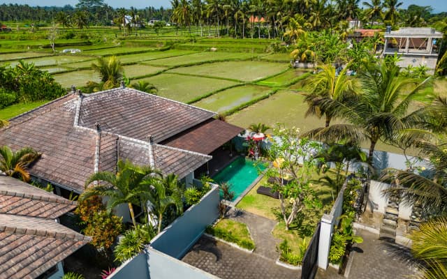 Residence 888 Ubud Villa - photo 4