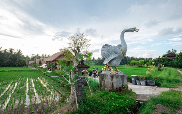 Pondok Mawas Hotel - photo 5