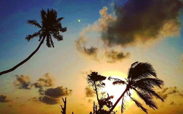 Feridhoo Inn Guest House - photo 2