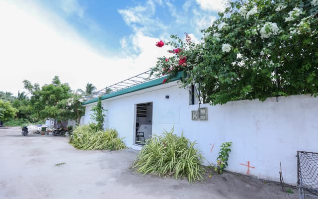 Belvedere Thoddoo Guest House - photo 4