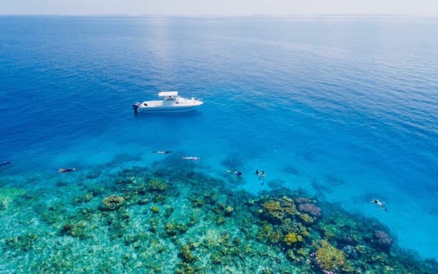 Reveries Maldives Hotel - photo 5