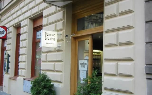 Pension Brezina Hotel Prague - photo 3