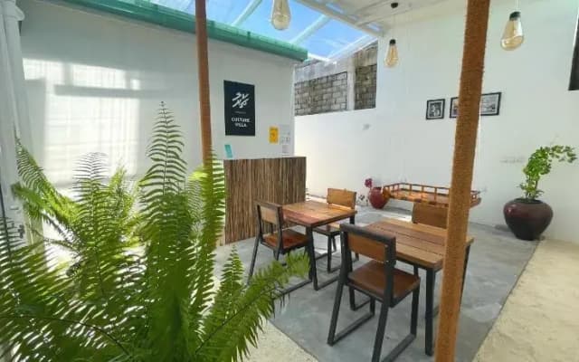 Culture Villa - photo 4