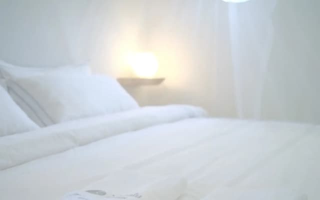 Noovilu Suites Guest House - photo 4
