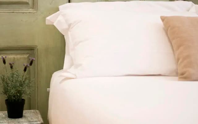 262 Boutique Hotel - photo 2