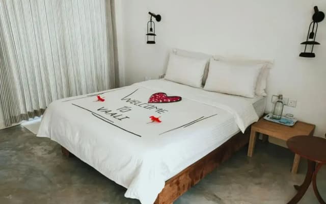Vaali Maldives Island Escapes & Dive Guest House - photo 5