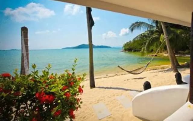 Las Palmas Boutique Hotel - photo 4