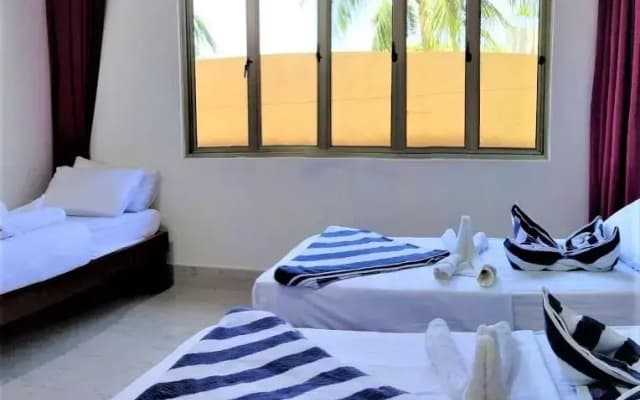 La Isla Tropica Hotel - photo 4