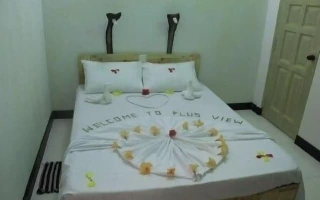 Plus View Maldives - photo 3