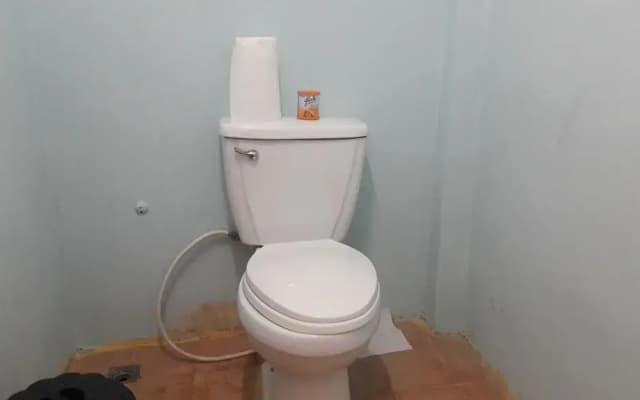 Universal Hostel - photo 5