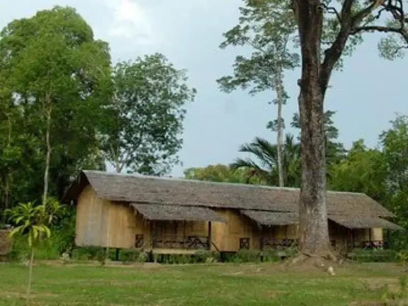 Borneo Proboscis River Lodge - photo 3