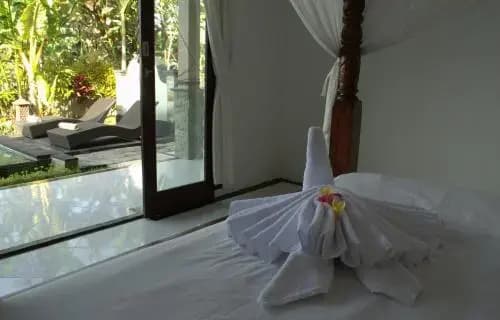 Nick Villa - photo 5