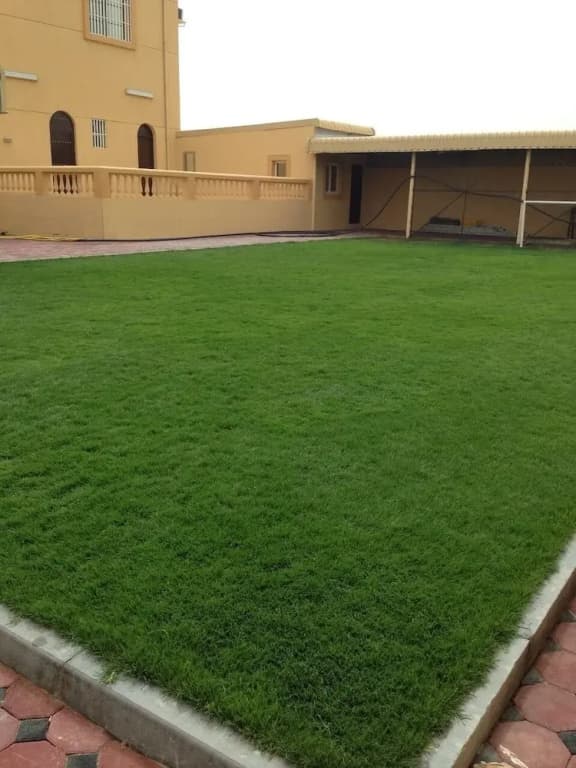 Holiday Villa Inn - Masfout Hatta - main photo