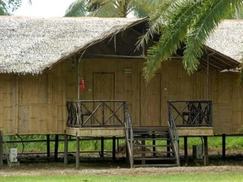 Borneo Proboscis River Lodge - photo 5