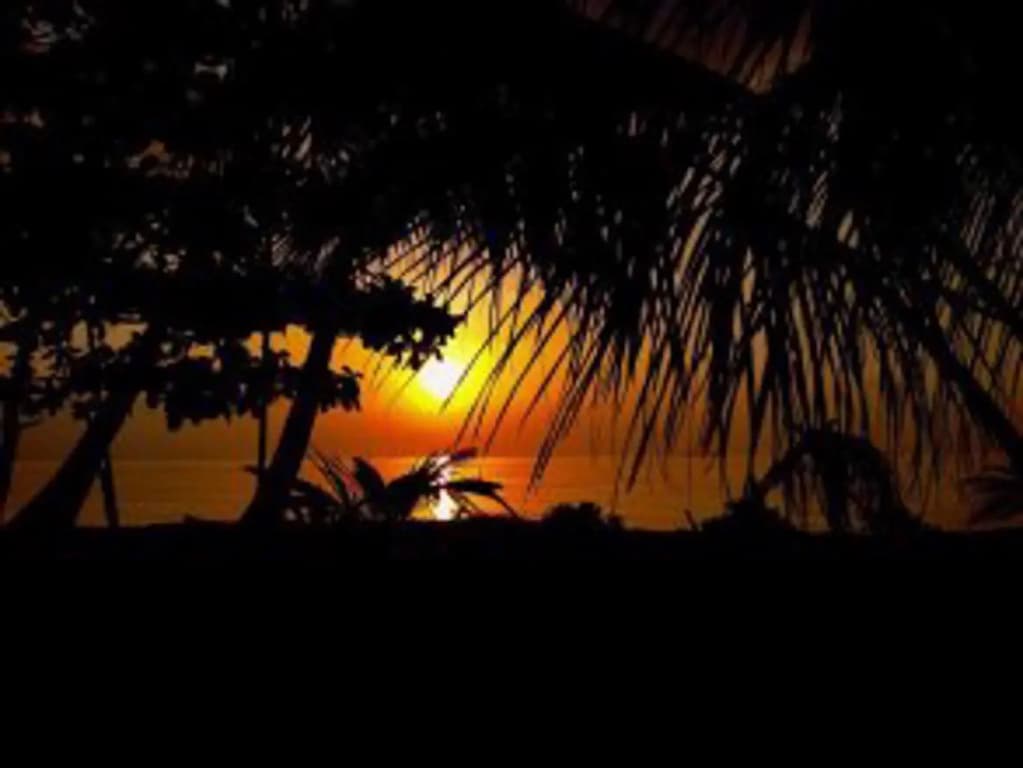 Local Adventure at Dhiffushi - photo 9