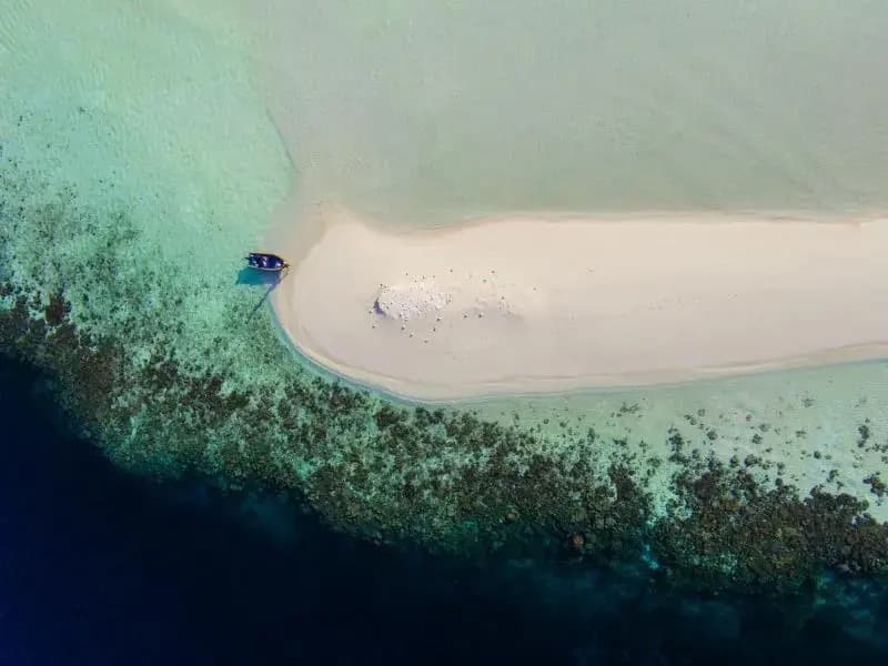 Magoodhoo Inn - photo 22