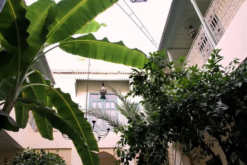 Dar Limoun Amara - main photo