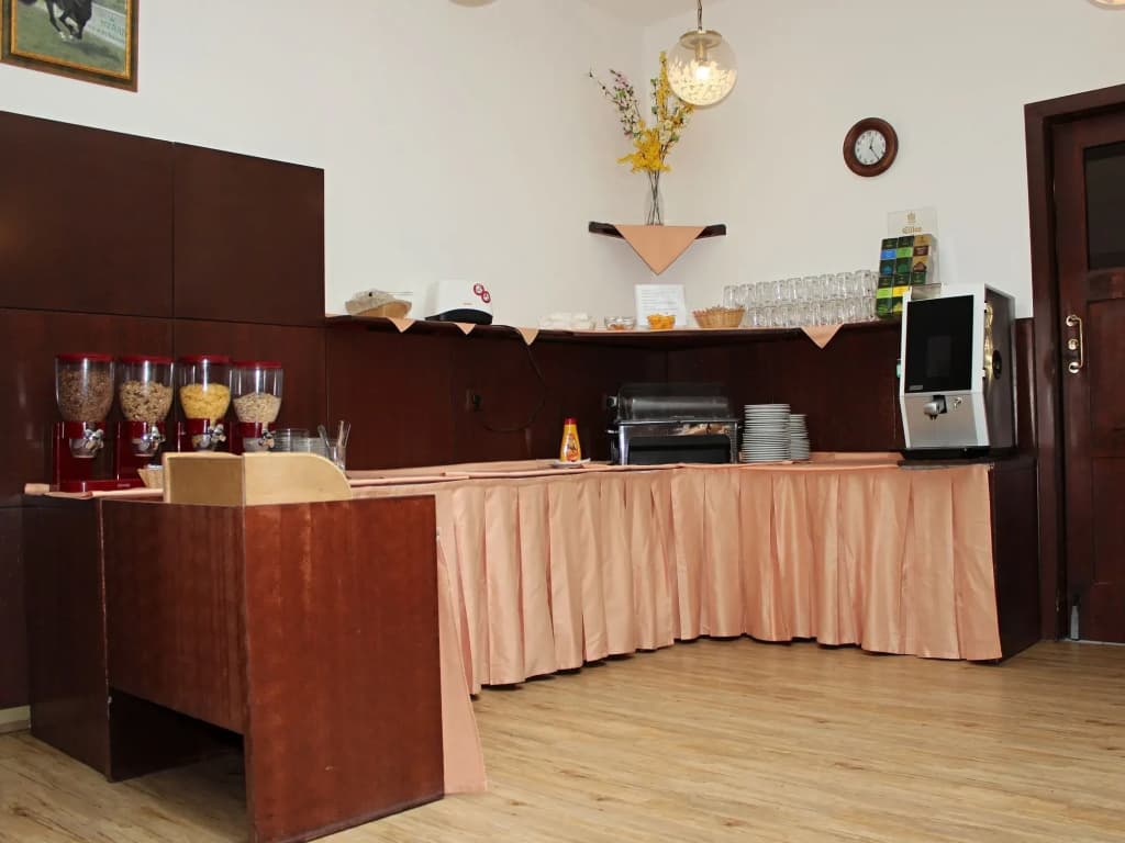 Hotel Meran - photo 15