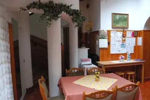 Mohacsi Guesthouse - photo 13