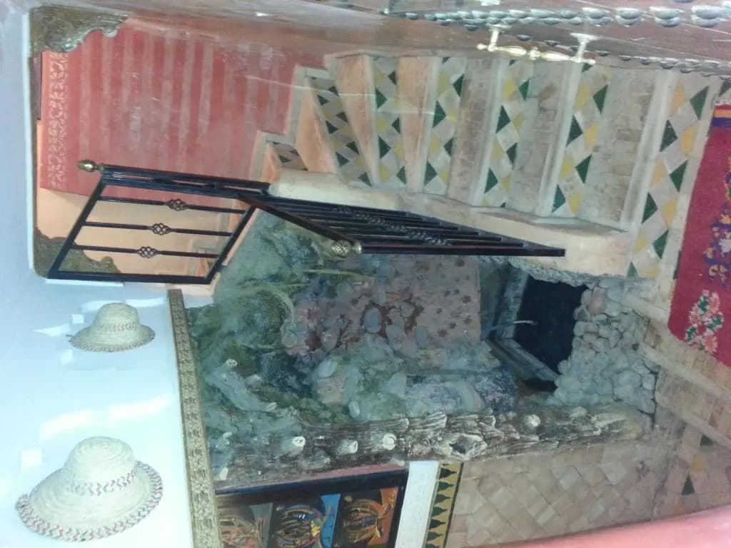 Riad Tarik - photo 6