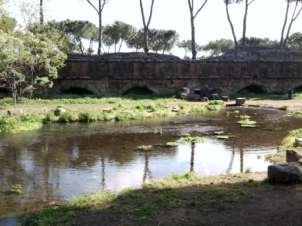 Il Pozzo - photo 7