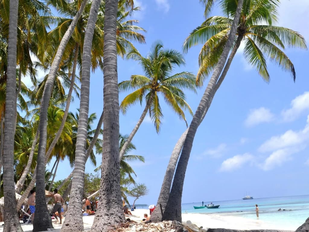 Nala Island Village Hotel - photo 19