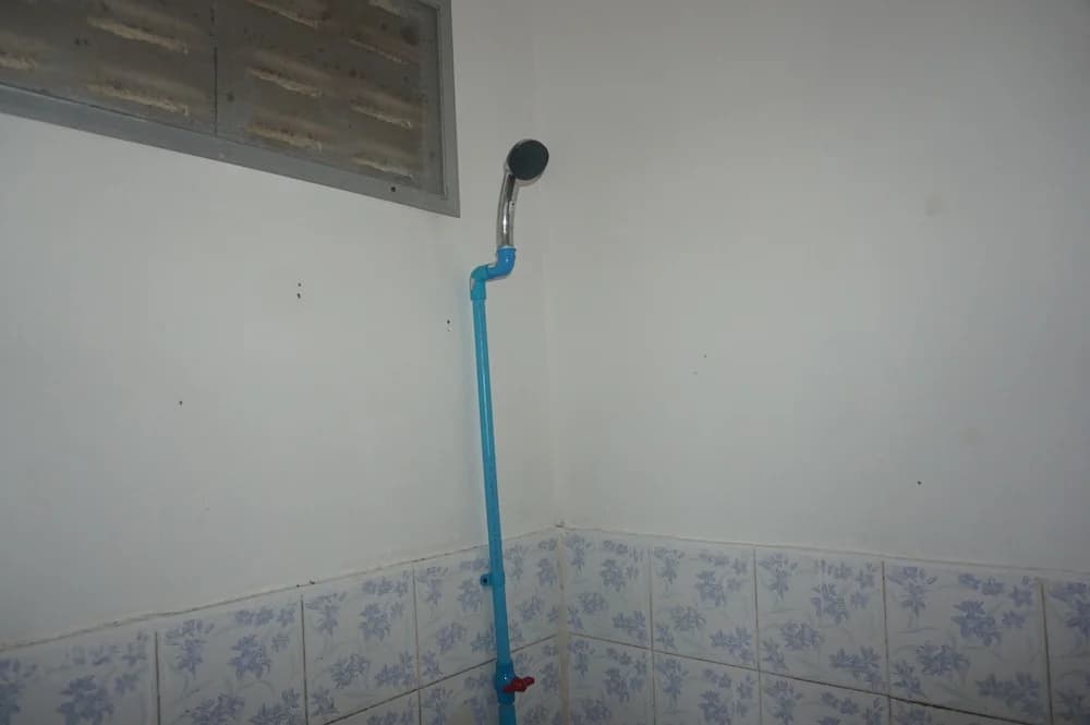 Back to Nature Hut - photo 8