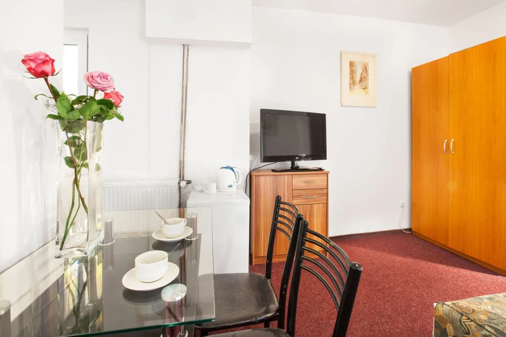 Apartment House Zizkov - photo 10