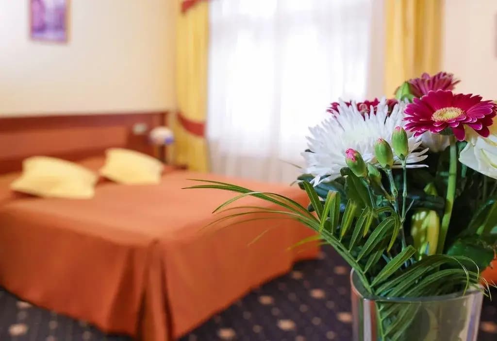Hotel Aramis - photo 12