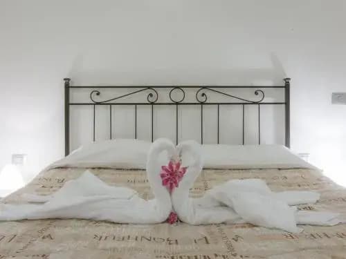 Pitti Two Bedroom Apartment - photo 5