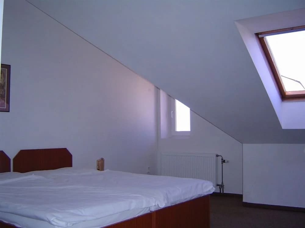Hotel U Sládku - photo 5