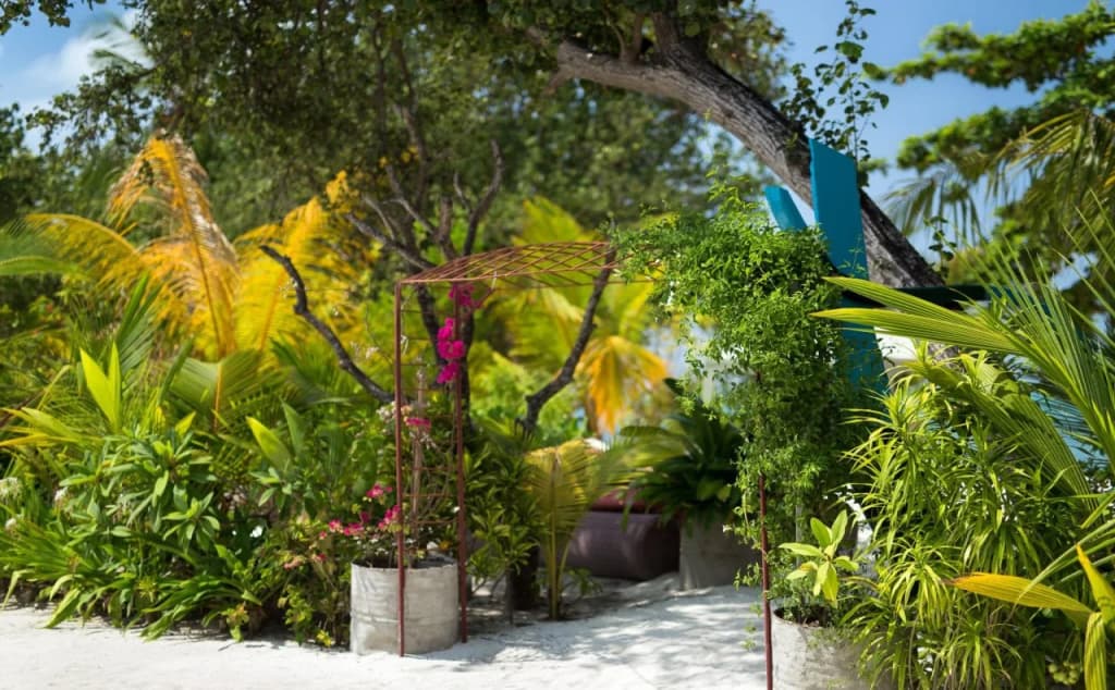 Tropical Village - photo 35