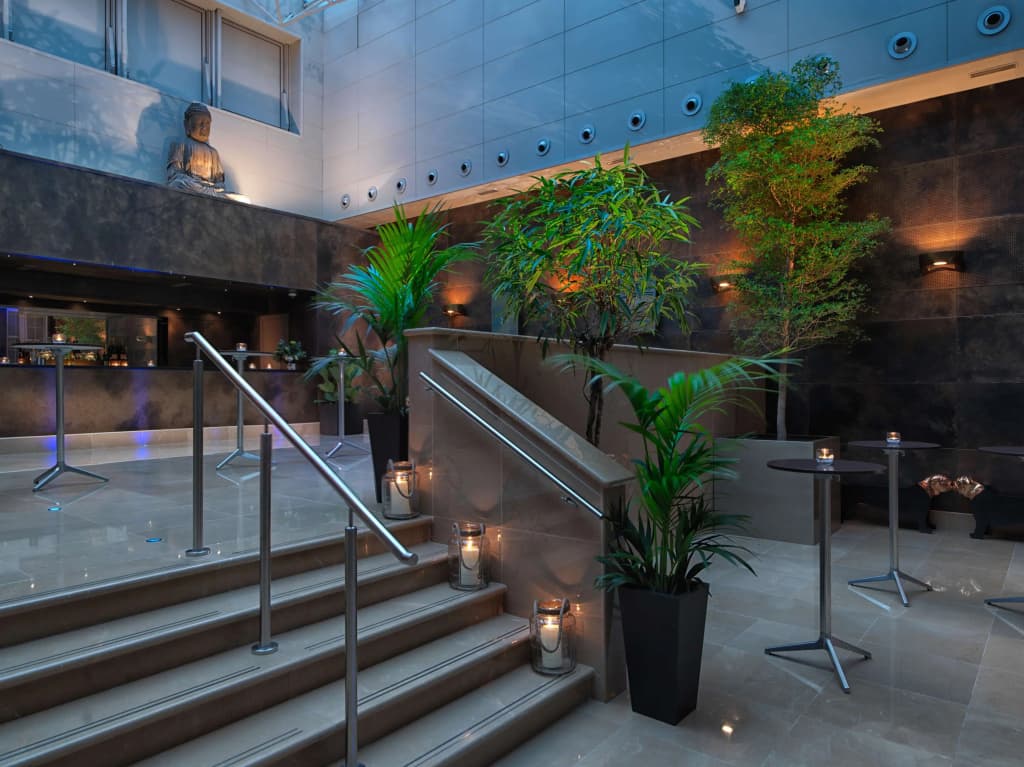 The May Fair, A Radisson Collection Hotel, Mayfair London - photo 44