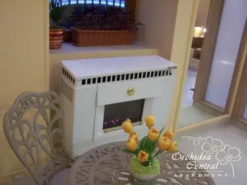 Orchidea Central Apartment - photo 14