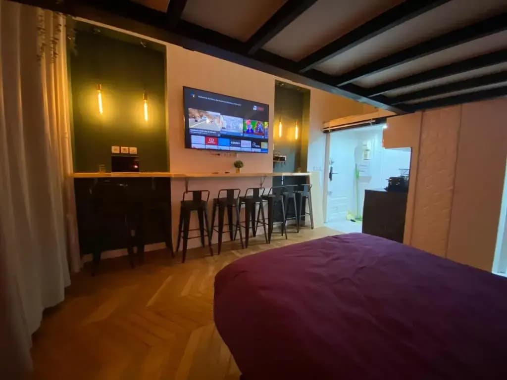 Beautiful mini Loft near Saint-Lazare - photo 7