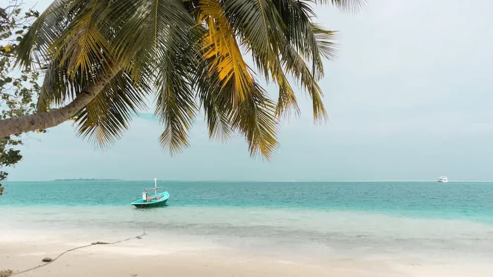 Palm Rest Maldives - photo 10