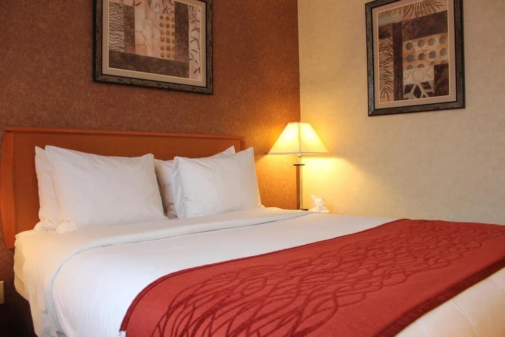 Bellerose Inn - photo 5