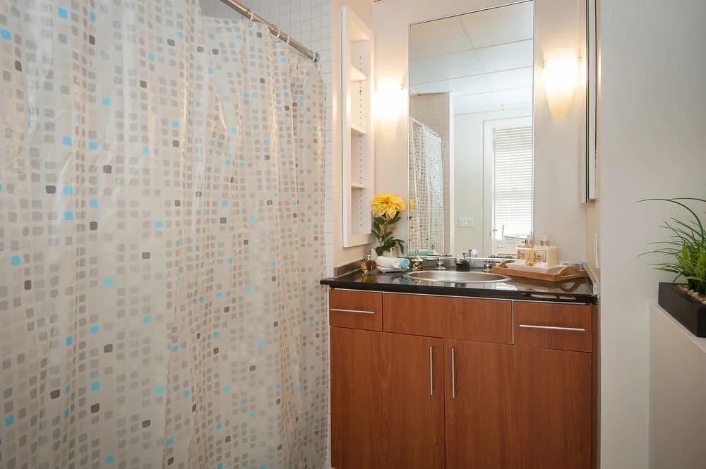 Sunshine Suites At 417 - photo 8