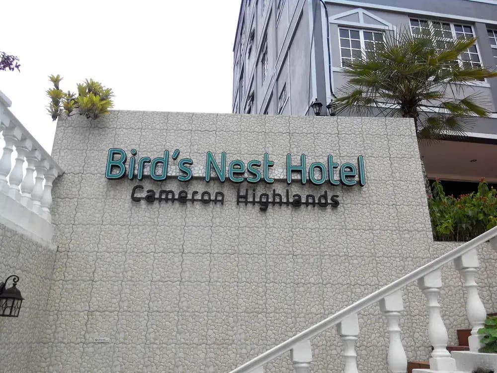 Bird's Nest Hotel - main photo