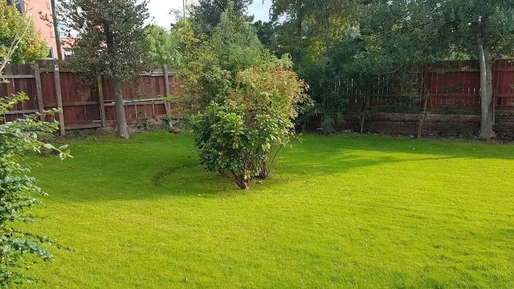 16 Maybury House - photo 12