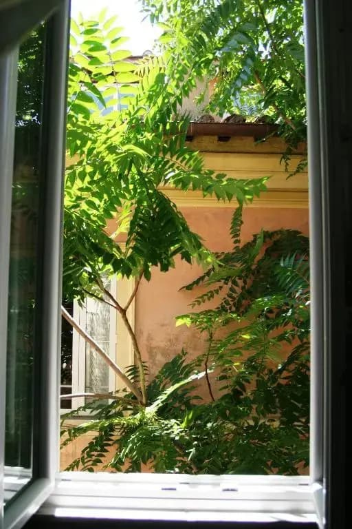Casa Mia a Trastevere - photo 7