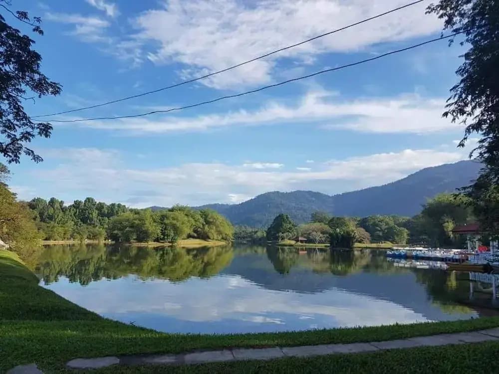 Taiping Lakeview Homestay - photo 15
