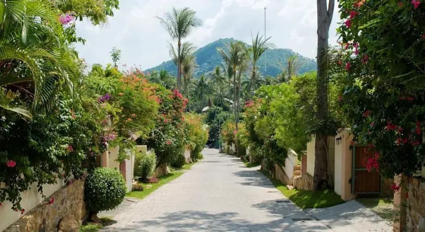 Lamyai Plantation Villa - photo 8