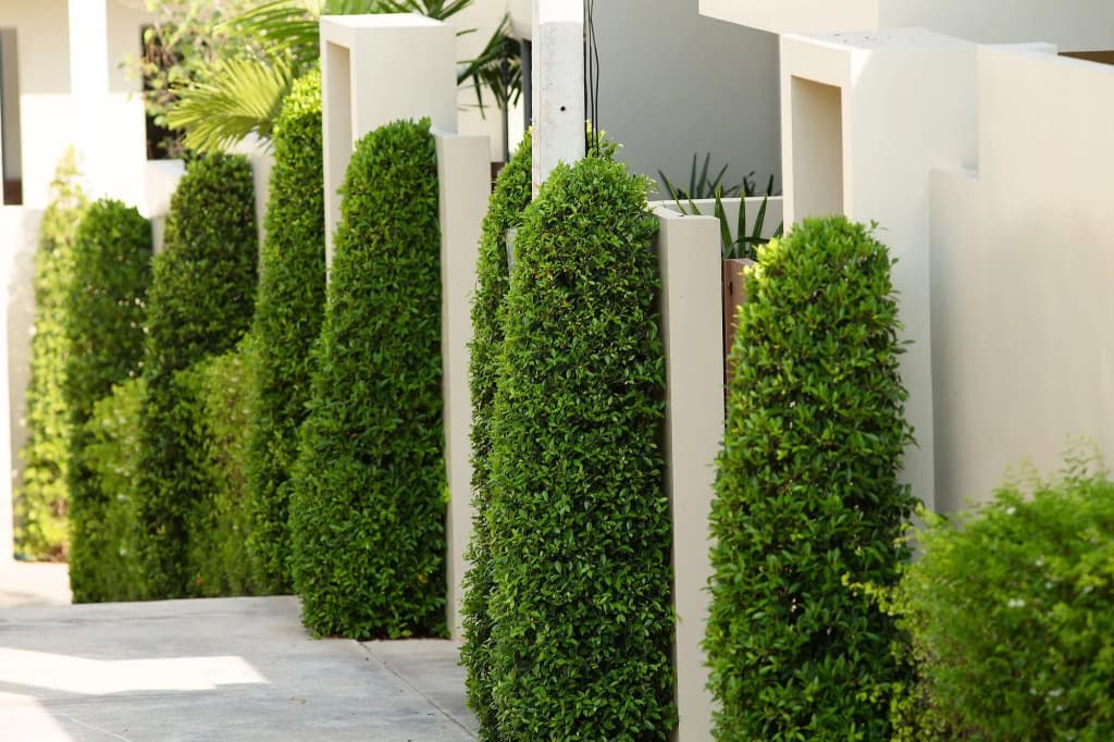 Villa Badas - photo 11