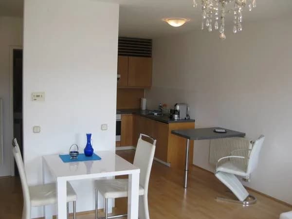 Puzzlehotel Appartement Schonbrunn - photo 17