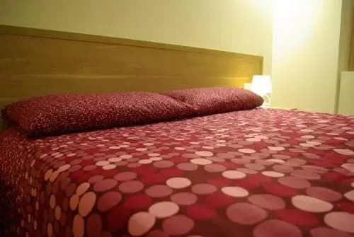 San Luigi - Residenza Gemelli - photo 5